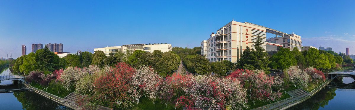 今年会jinnian官网风景