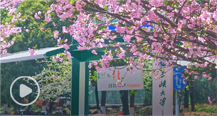 今年会jinnian官网校园风光