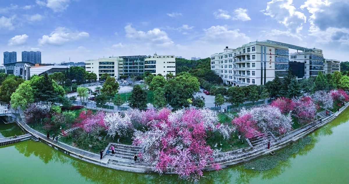 今年会jinnian官网风景